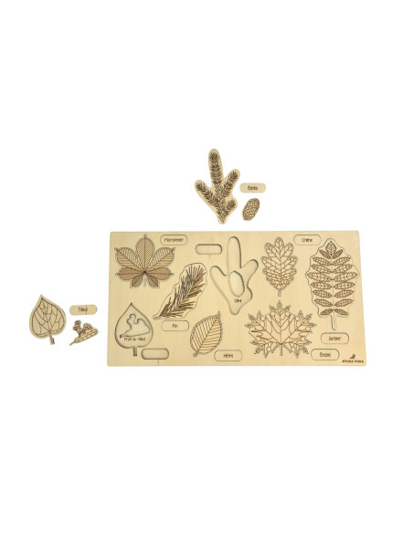 Puzzle Les Feuilles et les Fruits des arbres n°1