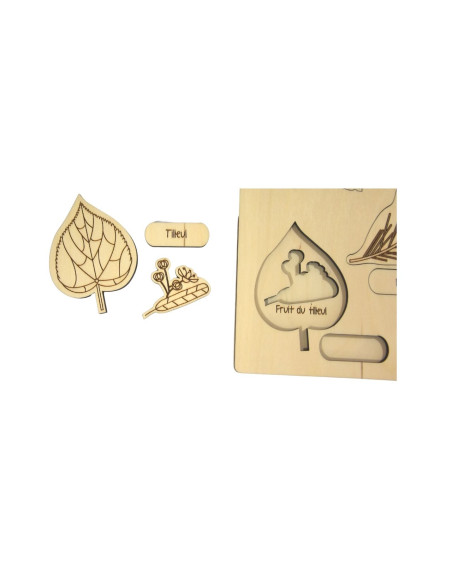 Puzzle Les Feuilles et les Fruits des arbres n°1