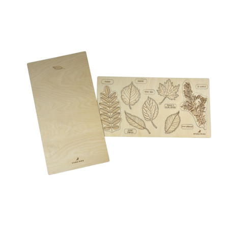 Puzzle Les Feuilles et les Fruits des arbres n°2