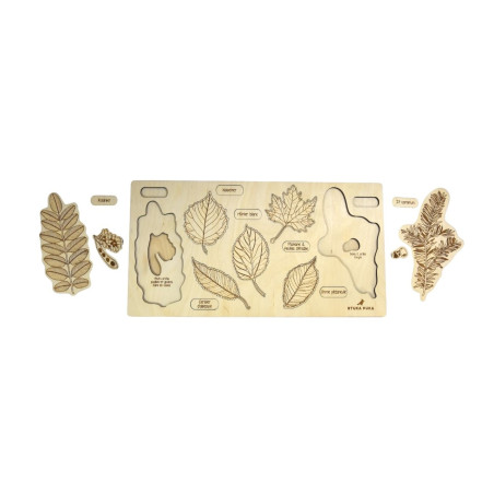 Puzzle Les Feuilles et les Fruits des arbres n°2