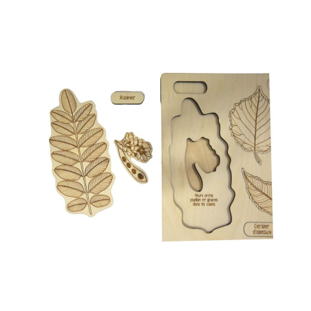 Puzzle Les Feuilles et les Fruits des arbres n°2