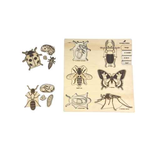 Puzzle Les Insectes