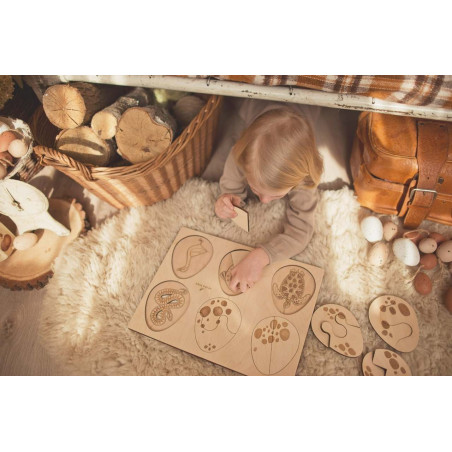 Puzzle Les Ovipares
