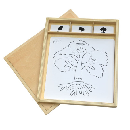 Cartes de nomenclature cabinet de botanique| Botanique | Montessori