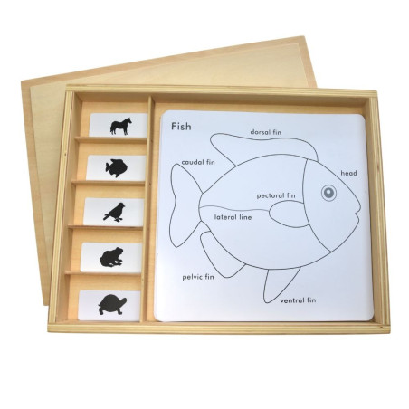 Cartes de nomenclature cabinet de zoologie| Zoologie | Montessori