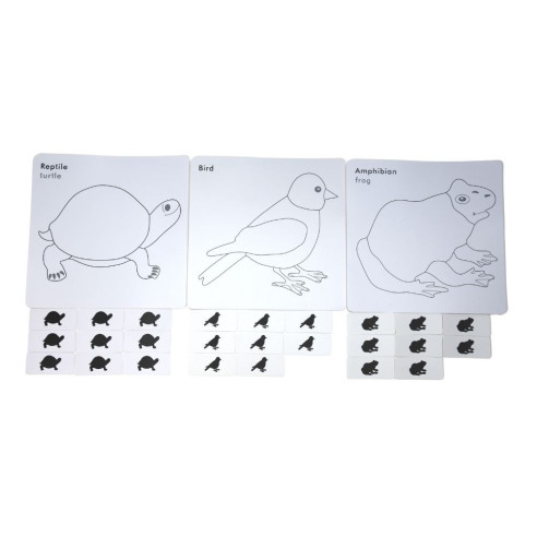Cartes de nomenclature cabinet de zoologie| Zoologie | Montessori