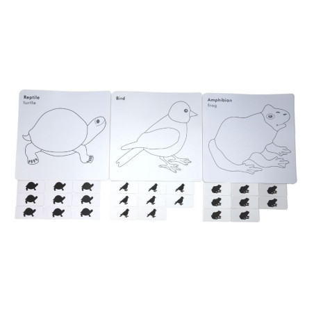 Cartes de nomenclature cabinet de zoologie| Zoologie | Montessori