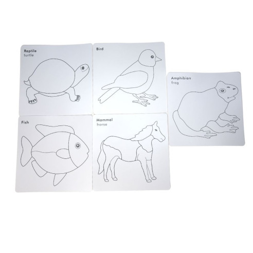 Cartes de nomenclature cabinet de zoologie| Zoologie | Montessori