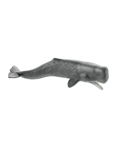 Figurines éducatives Schleich | Animaux marins| So Montessori