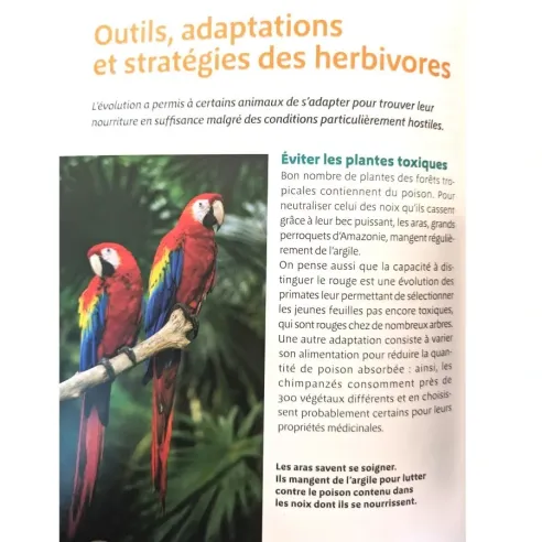 Montessori Pas à Pas | La vie animale 6-12 ans