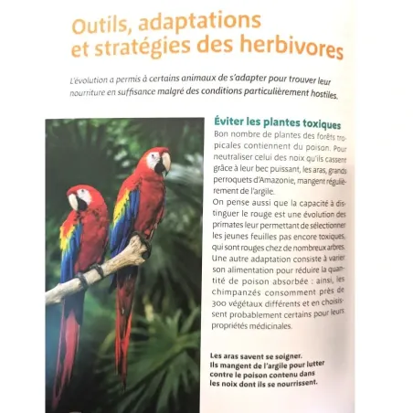 Montessori Pas à Pas | La vie animale 6-12 ans