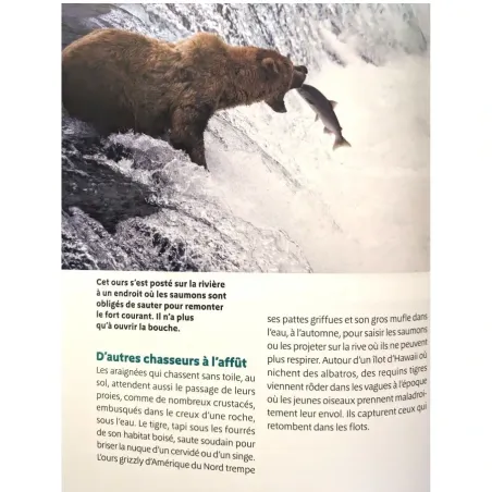 Montessori Pas à Pas | La vie animale 6-12 ans