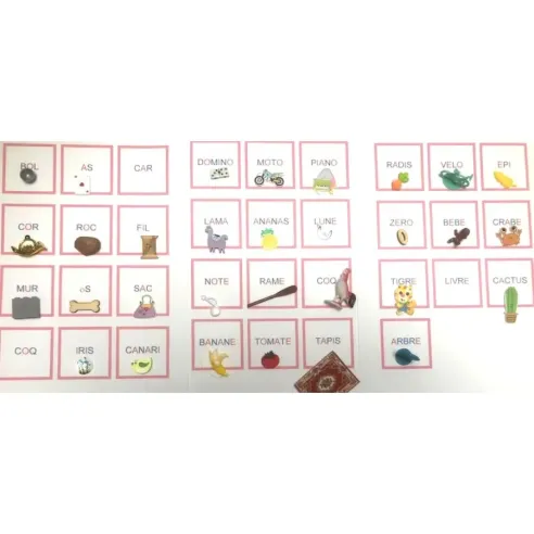 Cartes de lecture Rose Montessori - So Montessori