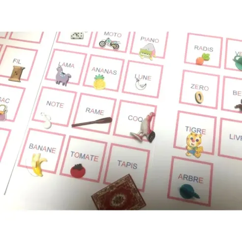 Cartes de lecture Rose Montessori - So Montessori