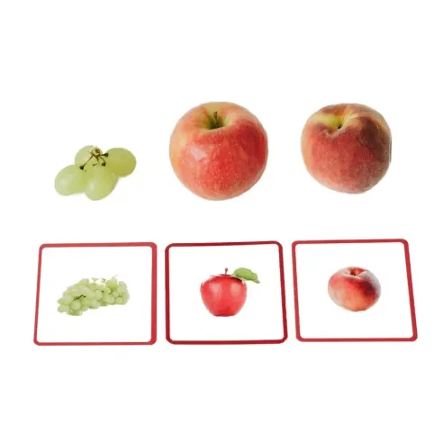 Coffret complet cartes de nomenclature Montessori : Giga Mondy