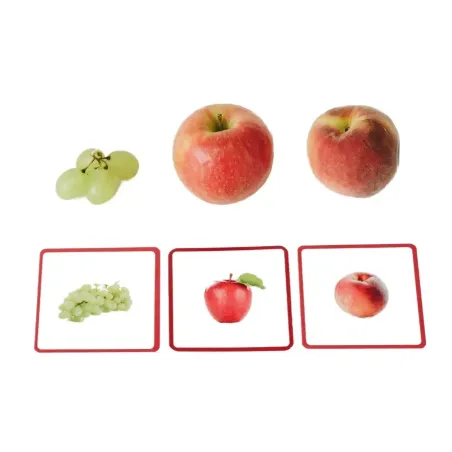 Coffret complet cartes de nomenclature Montessori : Giga Mondy