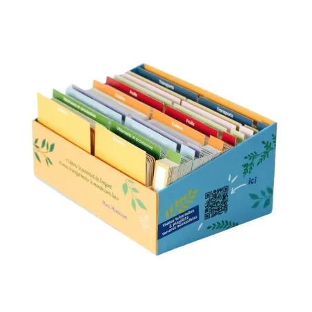 Coffret complet cartes de nomenclature Montessori : Giga Mondy