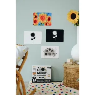 Mondy des P'tits Artistes - Images contrastées Montessori 2