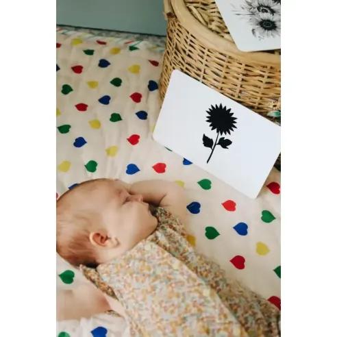 Mondy des P'tits Artistes - Images contrastées Montessori