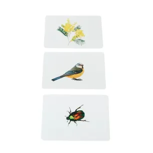 Mondy des P'tits Curieux : Images classifiées Nature