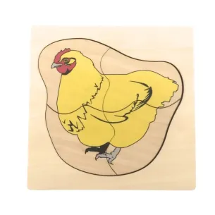 Puzzle en bois du cycle de vie de la poule Montessori.