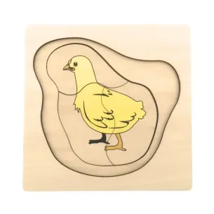 Puzzle en bois du cycle de vie de la poule Montessori. 2