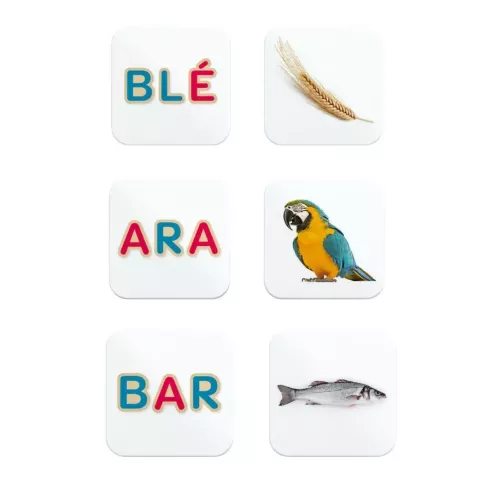 Memory des mots, Céline Alvarez, présentation des cartes du blé, du ara et du bar.