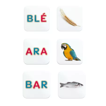 Memory des mots, Céline Alvarez, présentation des cartes du blé, du ara et du bar.