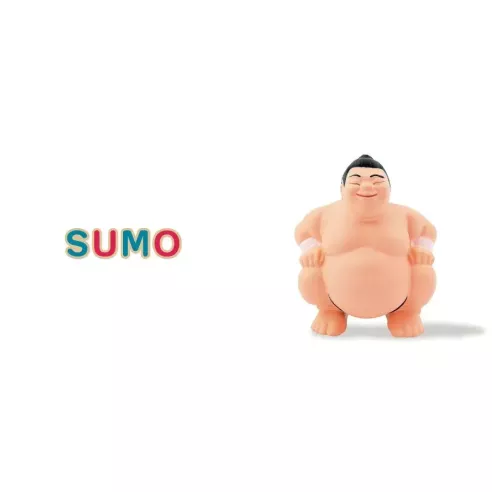 Mon imagier 75 mots de Céline Alvarez, le sumo