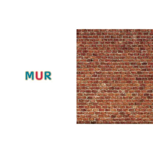 Mon imagier 75 mots de Céline Alvarez, le mur