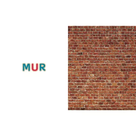 Mon imagier 75 mots de Céline Alvarez, le mur