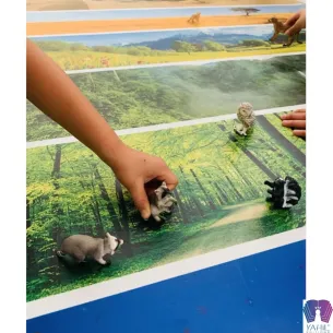 Milieux de vie - 100 cm x 60 cm Yahil Editions 2