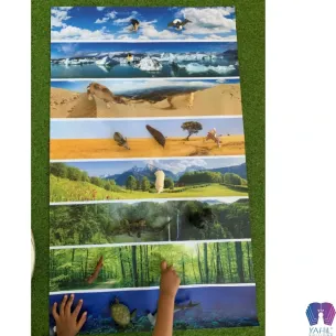 Milieux de vie - 100 cm x 60 cm Yahil Editions