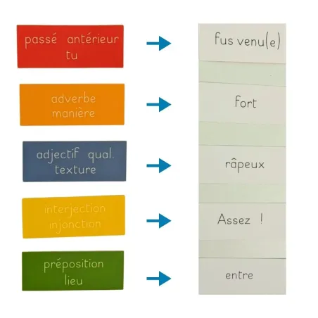Pack complet 10 octogones - Conjugaison - Les Petites Montessoriennes