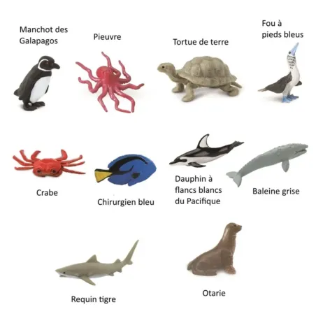 Figurines animaux du Pacifique - Tube Safari Ltd