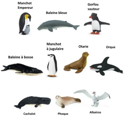 Figurines animaux de l'Antarctique - Tube Safari Ltd