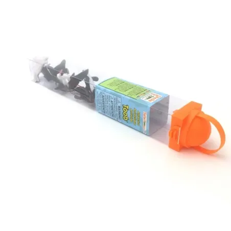 Figurines animaux de l'Antarctique - Tube Safari Ltd