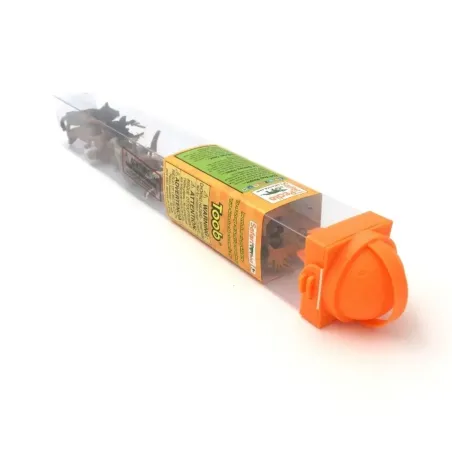 Figurines faune nord-américaine - Tube Safari Ltd