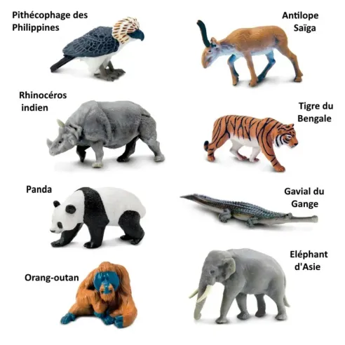 Animaux d'Asie - Tube Safari Ltd