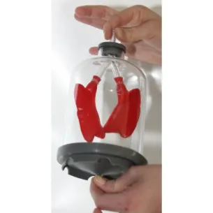 Maquette ventilation pulmonaire