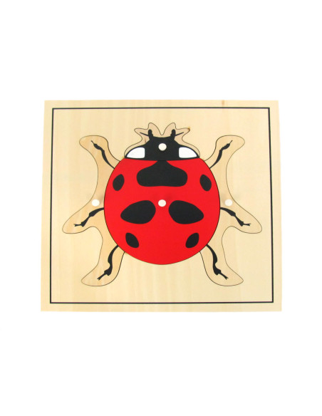 Puzzle de la coccinelle