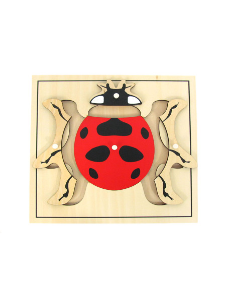 Puzzle de la coccinelle