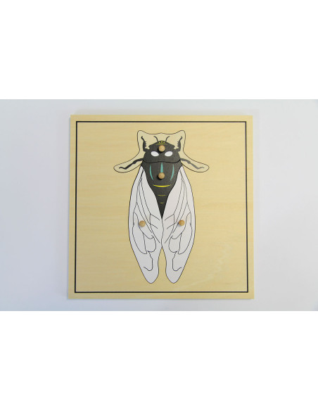 Puzzle de la mouche Puzzle de la mouche