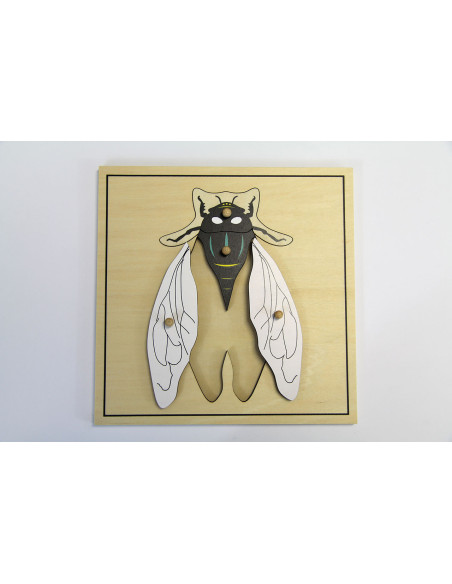 Puzzle de la mouche Puzzle de la mouche