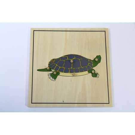 Puzzle de la tortue et son squelette