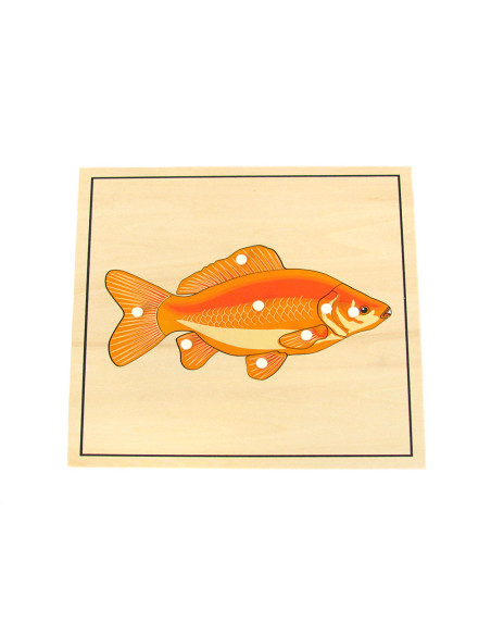 Puzzle du poisson et son squelette