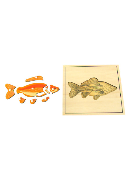 Puzzle du poisson et son squelette