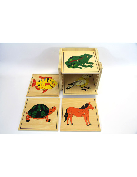 Cabinet de zoologie avec 5 puzzles