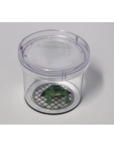 Boîte pour insectes