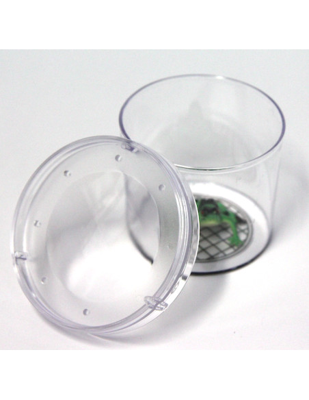 Boîte pour insectes